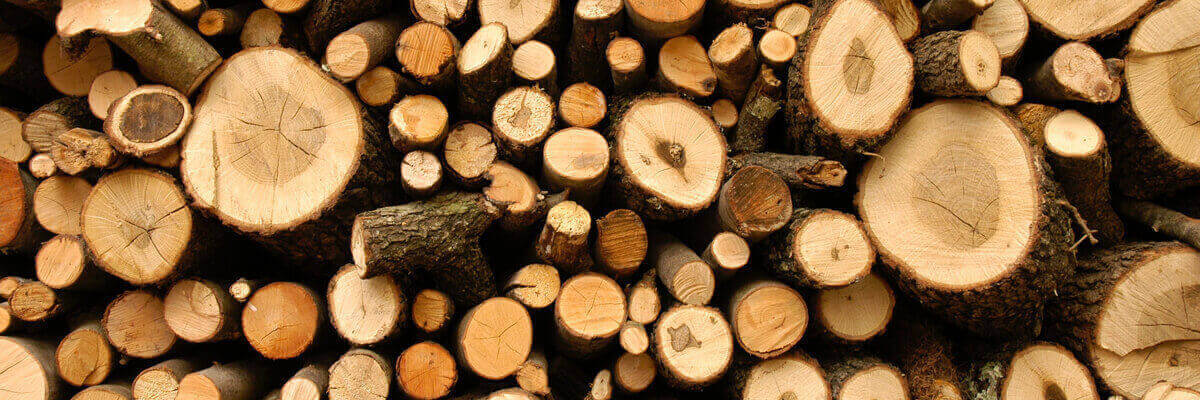 clipart logs