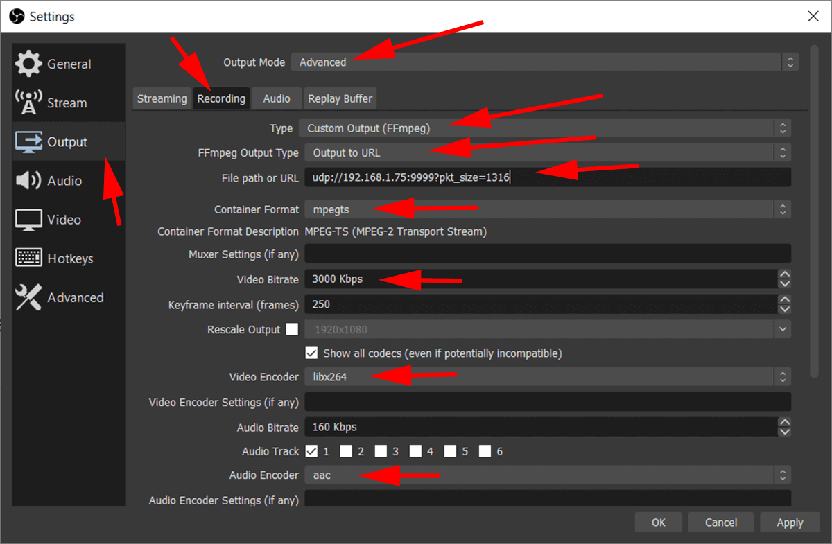 screenshot showing obs settings