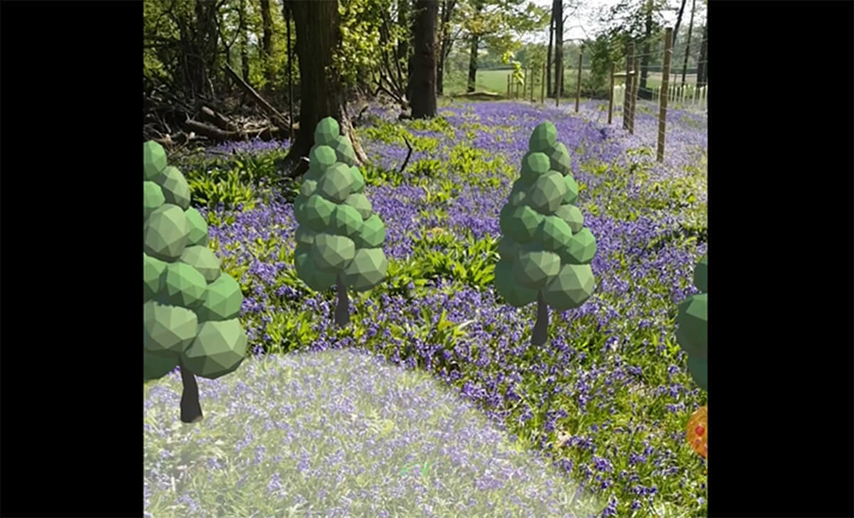 example AR set in woodland setting