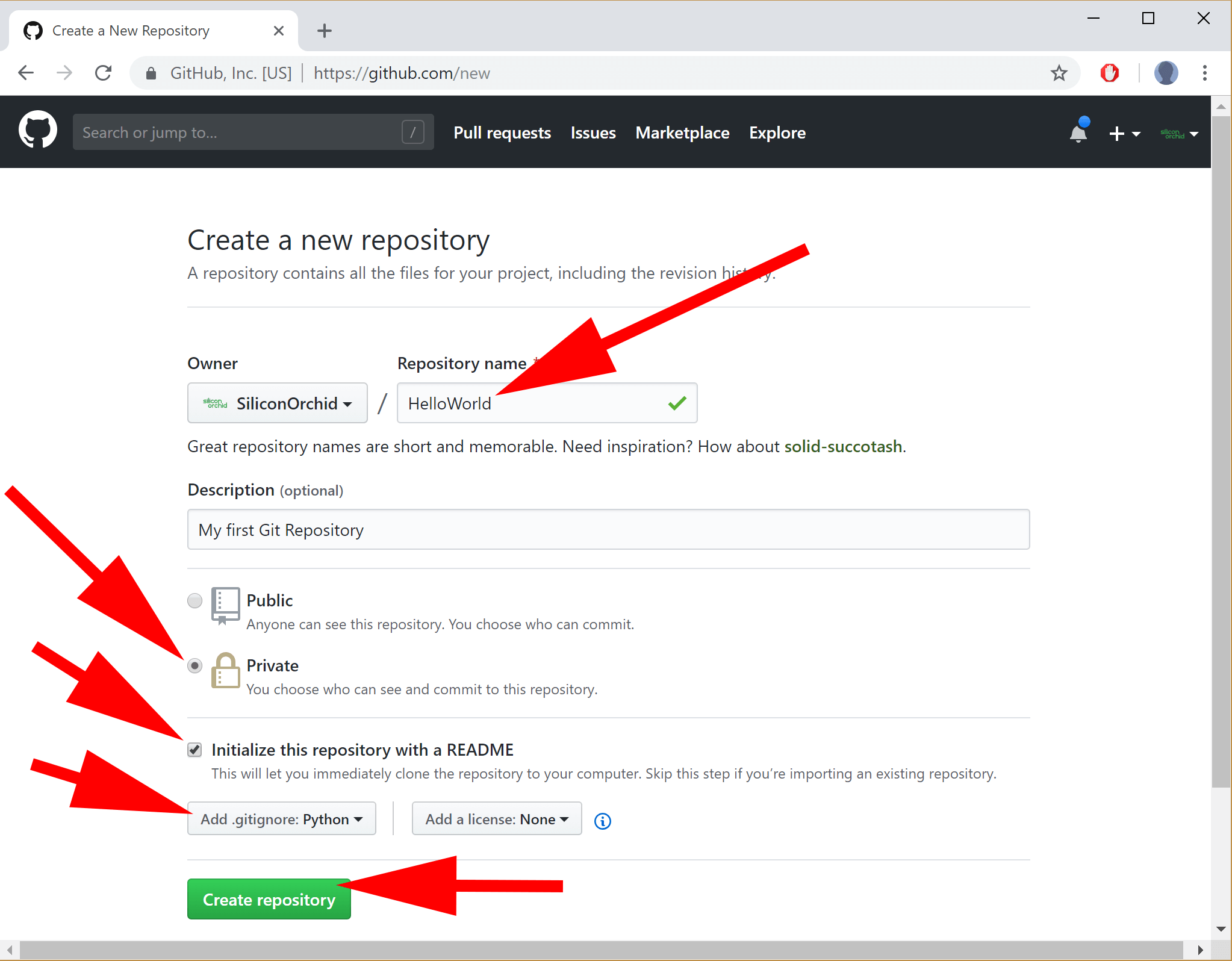 image showing GitHub new Repo options