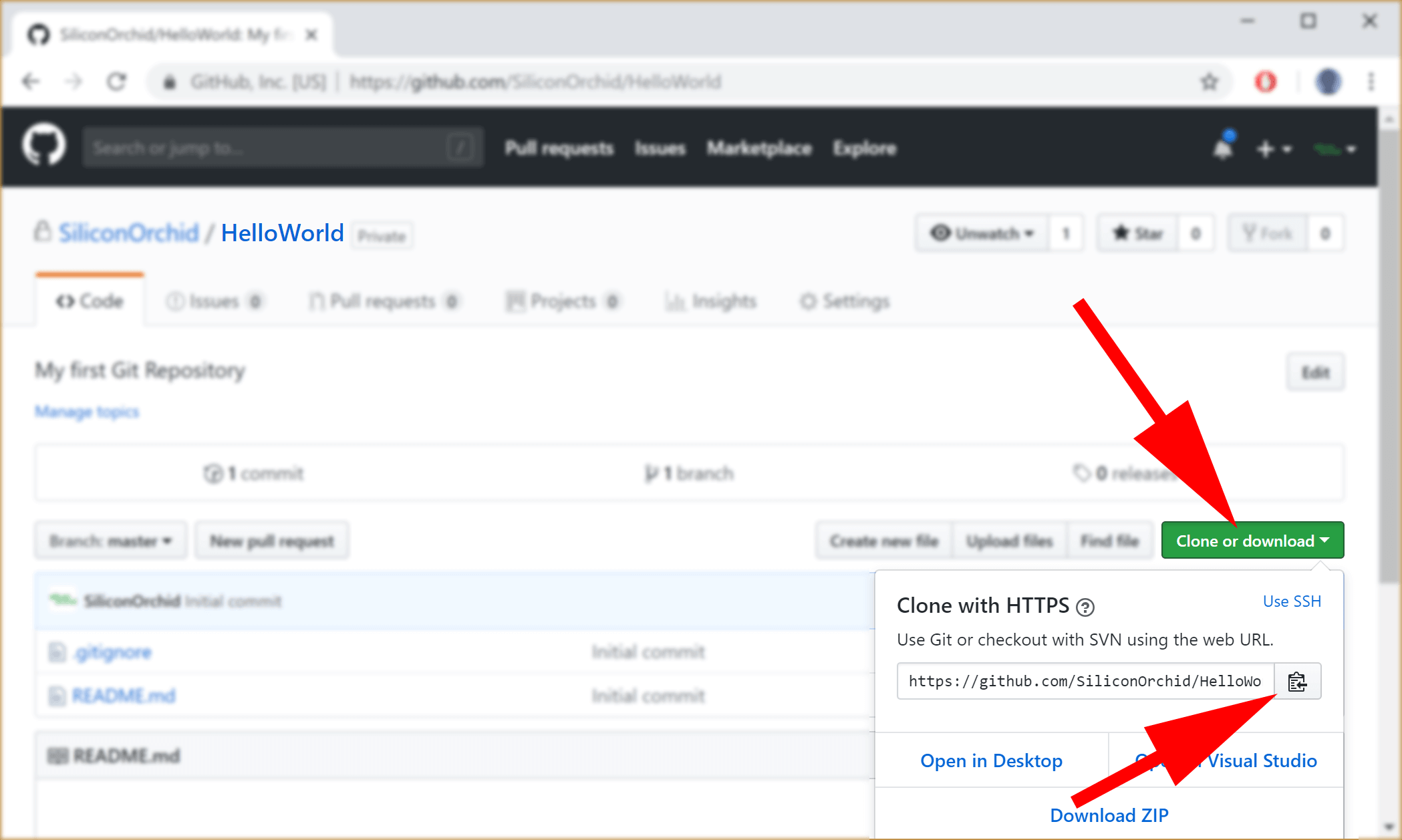 image showing GitHub clone buttons