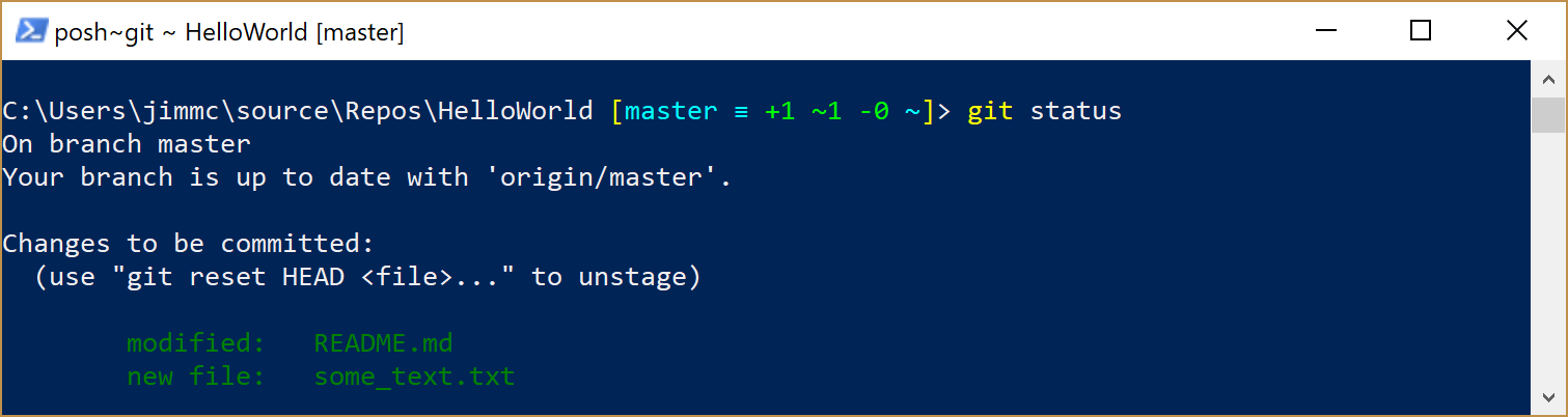 image showing Git status after staging