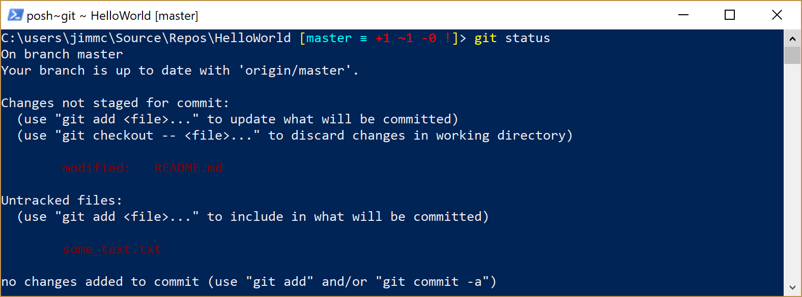 image showing Git status prior to staging