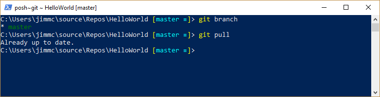 image showing Git branch and pull
